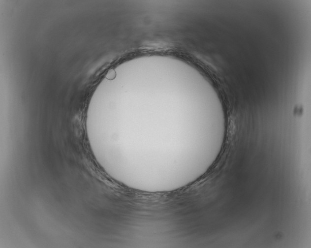 X0000110941254200906191042