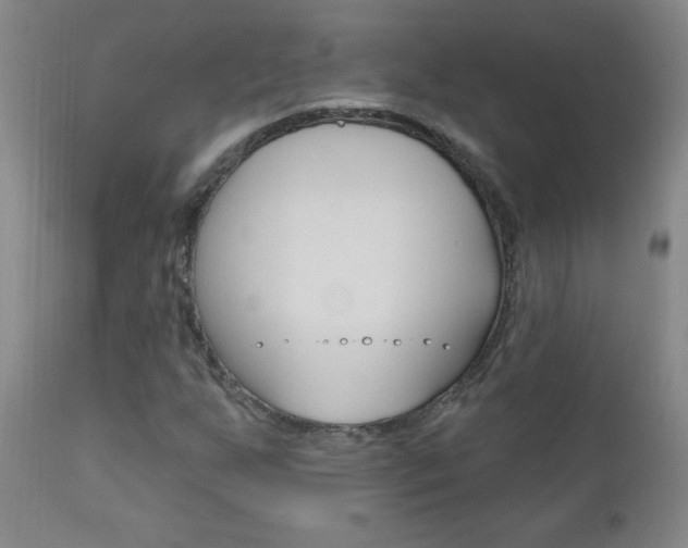 X0000110941255200906191042