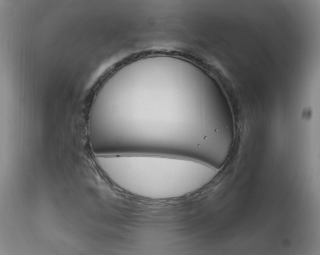 X0000110941256200906191042