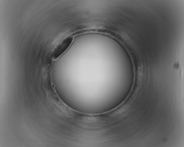 X0000110941257200906191042
