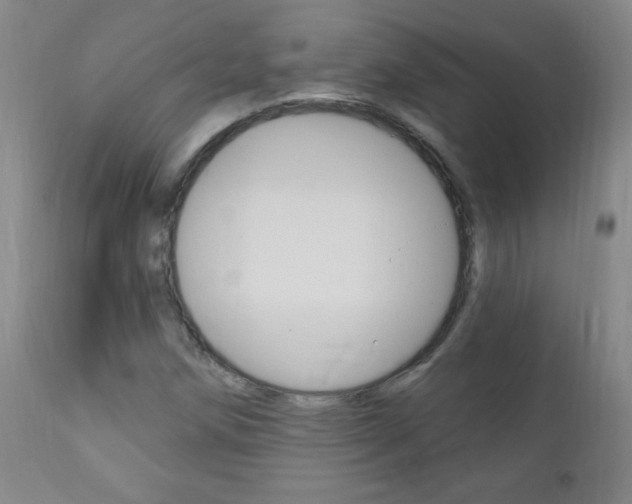 X0000110941258200906191042