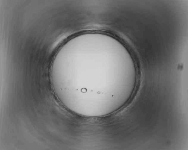 X0000110941259200906191042