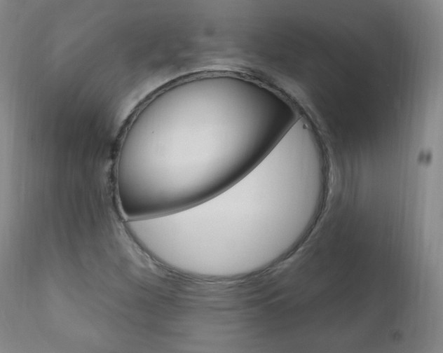 X0000110941260200906191042