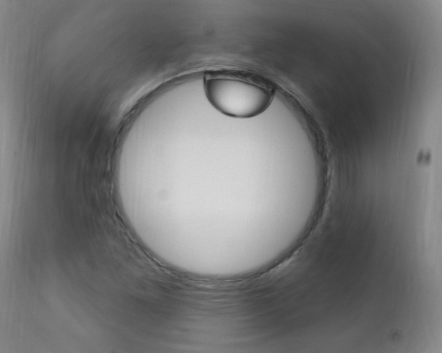 X0000110941261200906191042