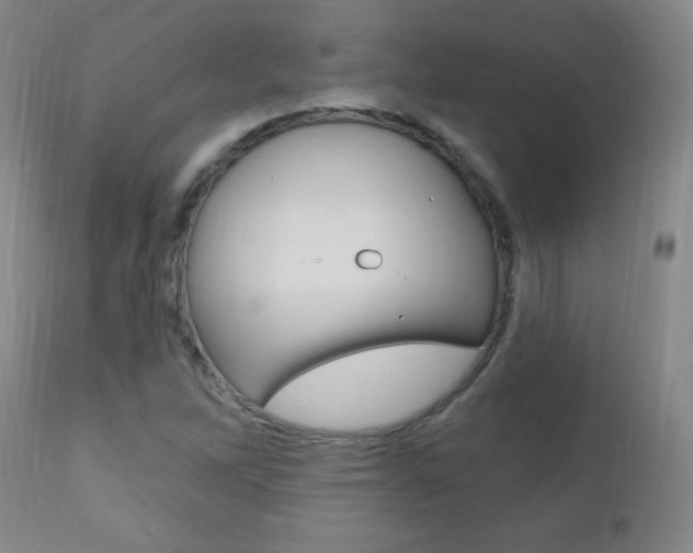 X0000110941262200906191042