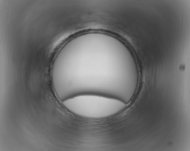X0000110941263200906191042