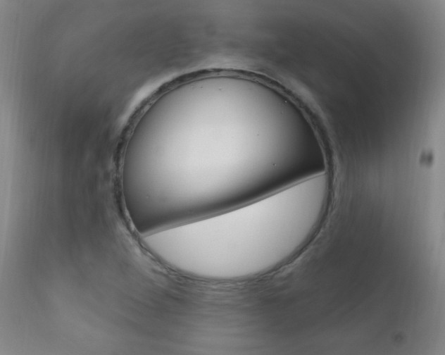 X0000110941264200906191042