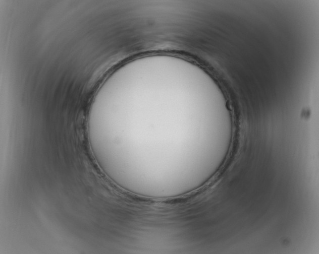X0000110941265200906191042