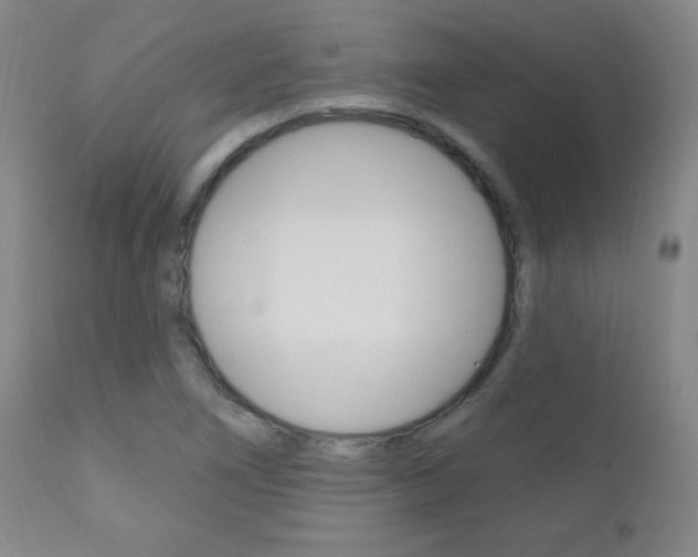 X0000110941266200906191042