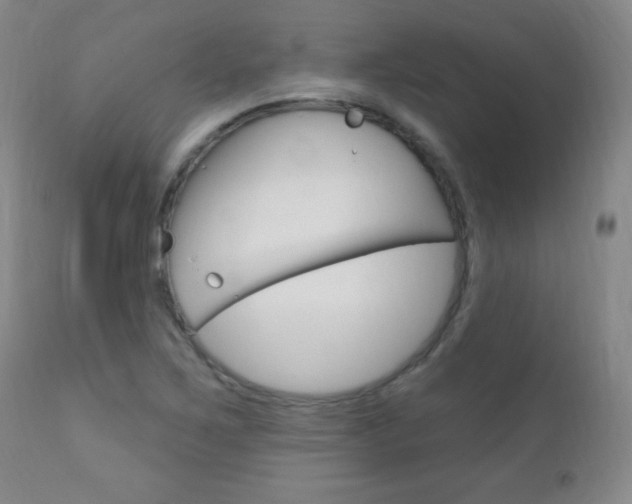 X0000110941267200906191042