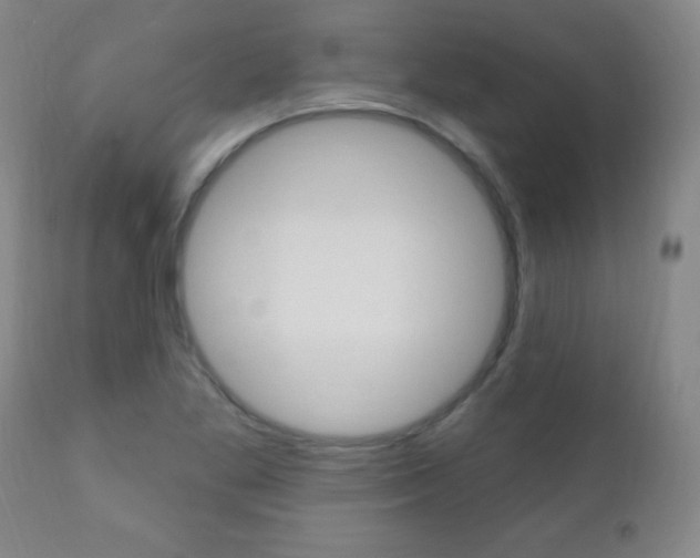X0000110941269200906191042