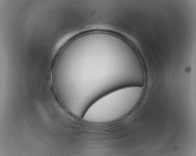 X0000110941271200906191042