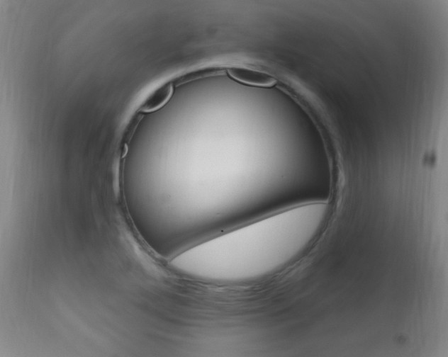 X0000110941272200906191042