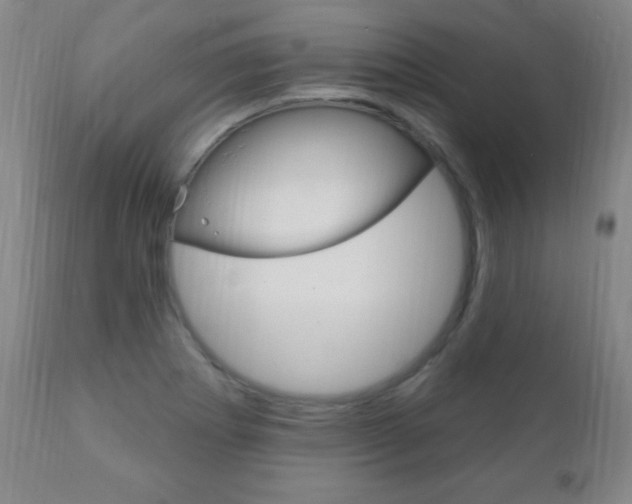 X0000110941273200906191042