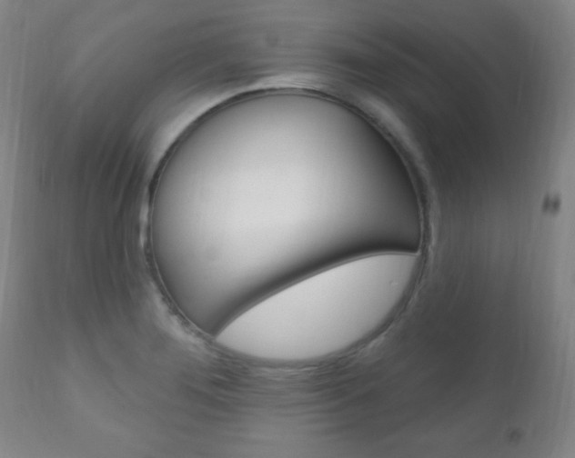 X0000110941276200906191042