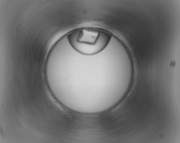 X0000110941277200906191042