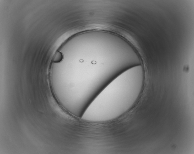 X0000110941283200906191041