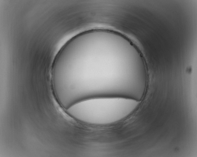 X0000110941287200906191041
