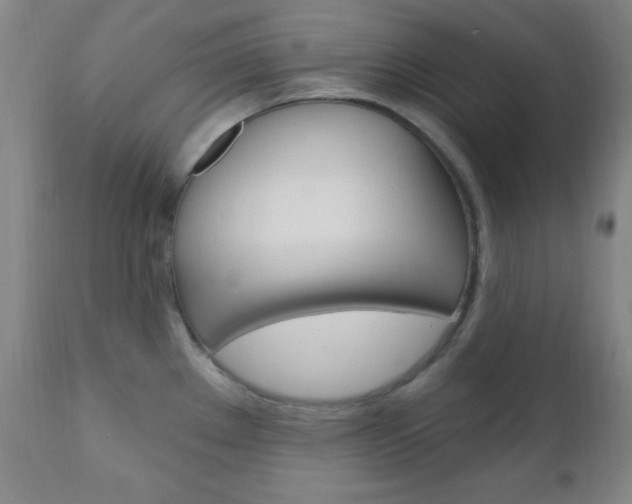 X0000110941289200906191041