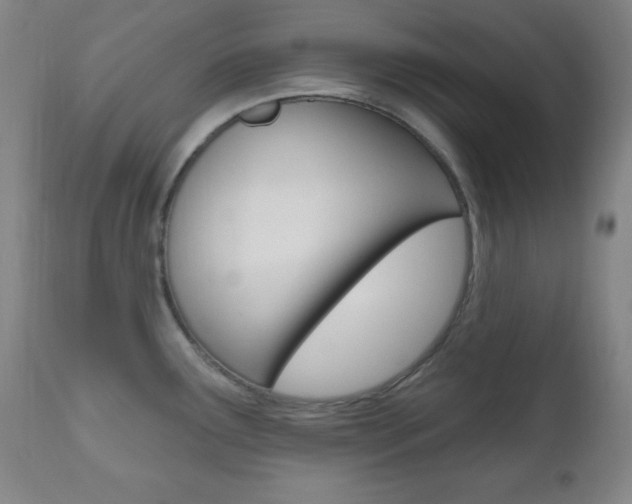 X0000110941291200906191041