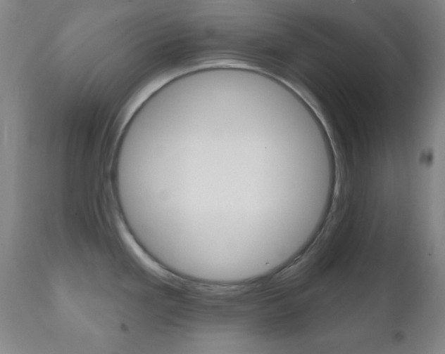 X0000110941293200906191041