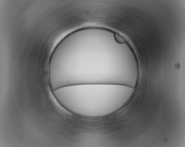 X0000110941295200906191041