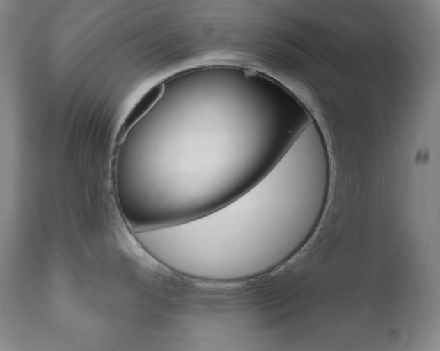 X0000110941296200906191041