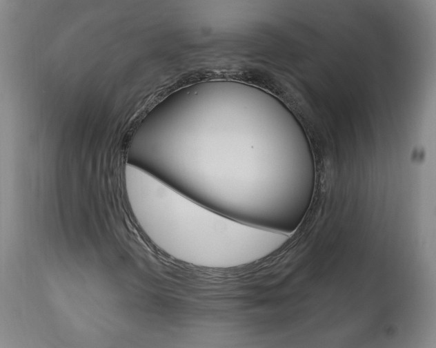 X0000110941298200906191041