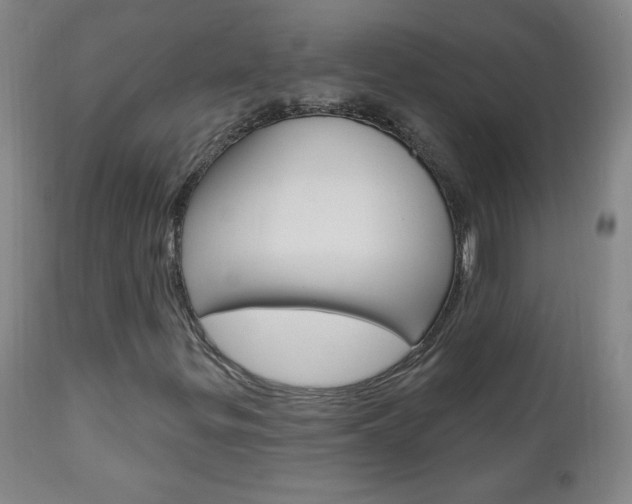 X0000110941299200906191041