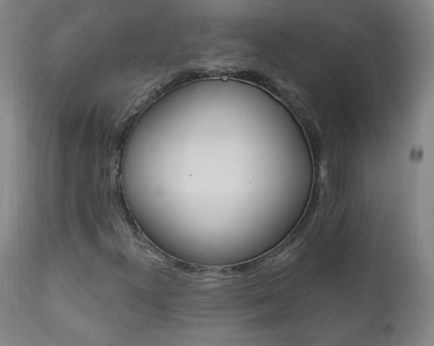 X0000110941300200906191041