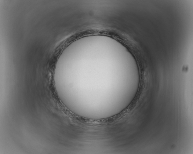 X0000110941302200906191041