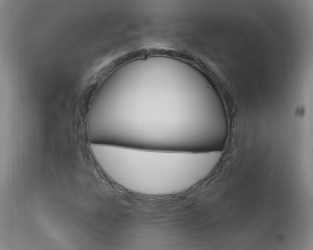 X0000110941303200906191041