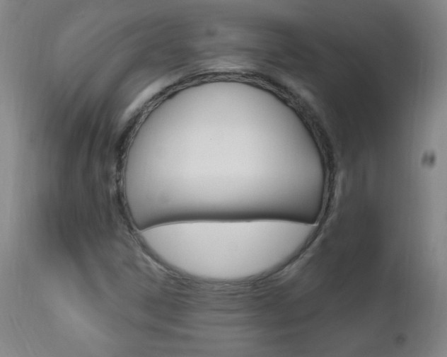 X0000110941306200906191041