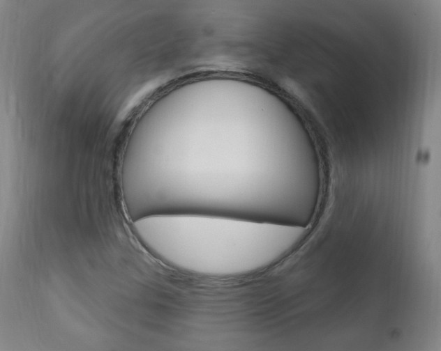 X0000110941307200906191041