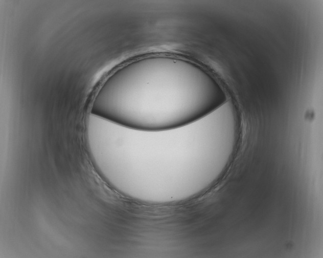X0000110941308200906191041