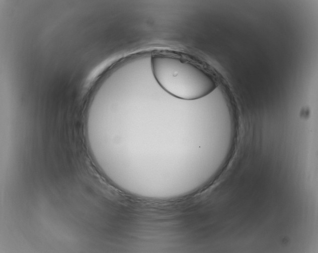 X0000110941310200906191041