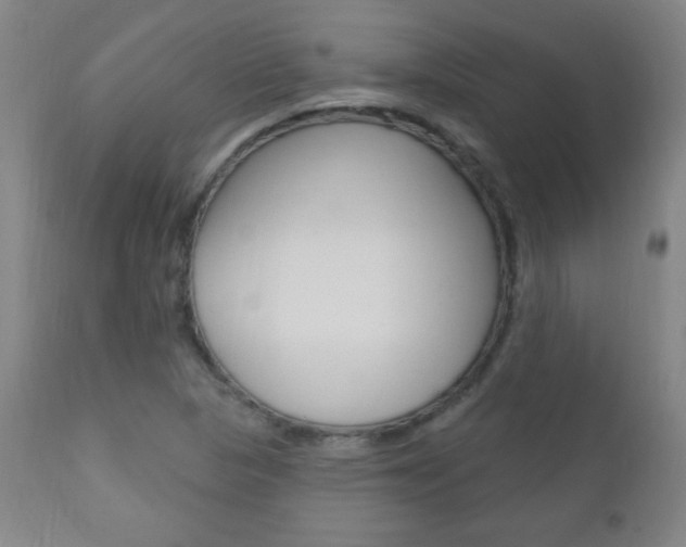 X0000110941313200906191041