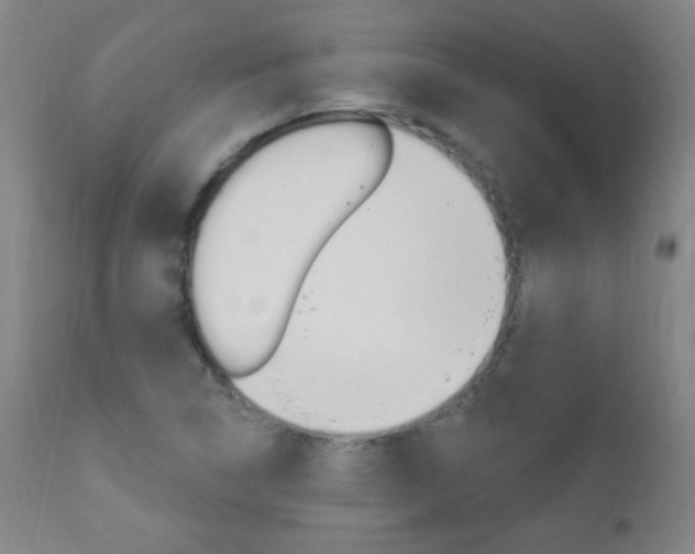 X0000110941314200906191041