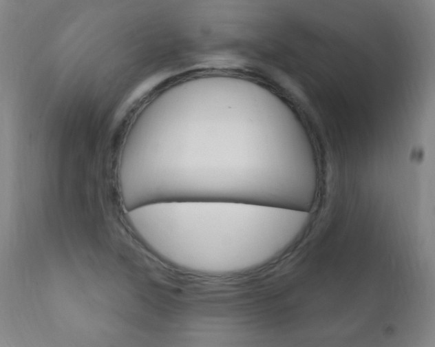 X0000110941315200906191041