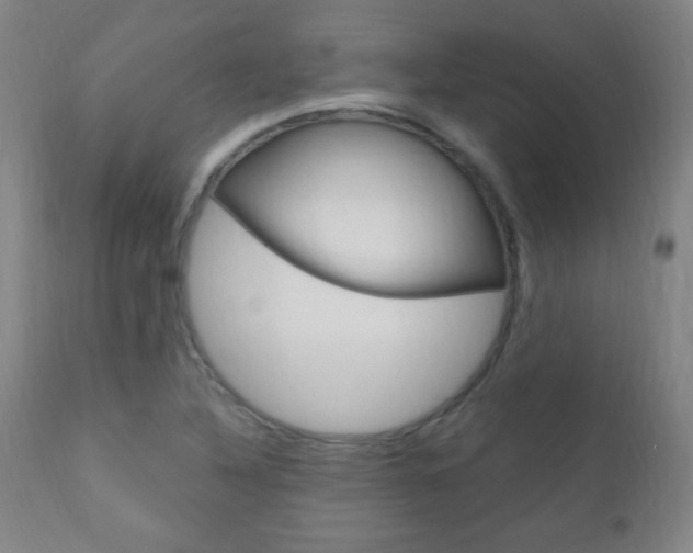 X0000110941316200906191041