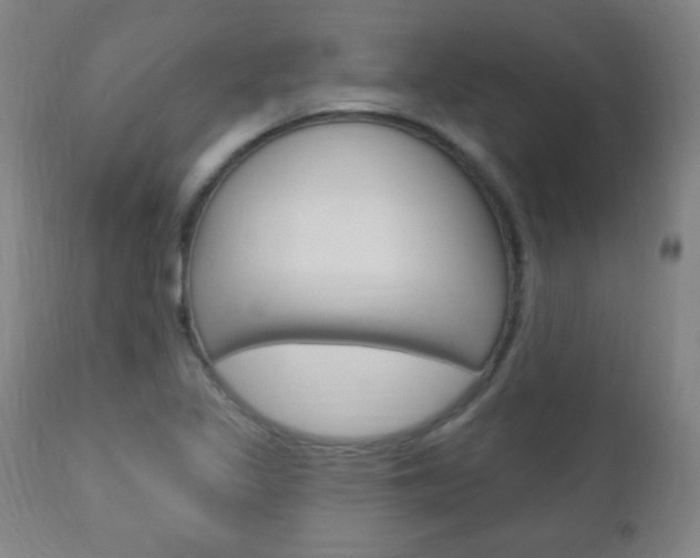 X0000110941317200906191041