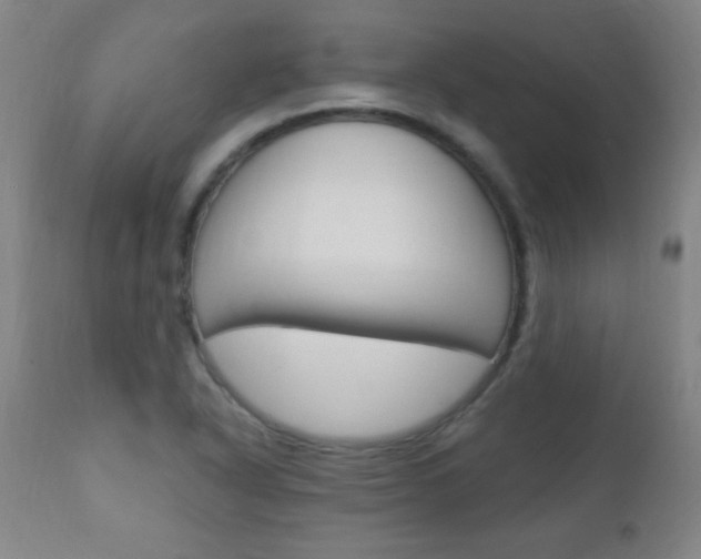 X0000110941318200906191041