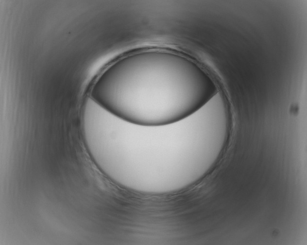 X0000110941320200906191041