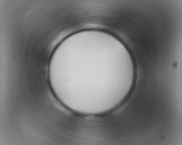 X0000110941322200906191041
