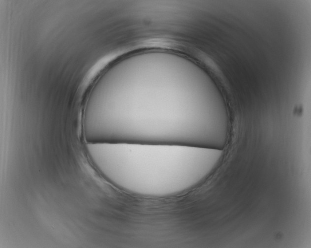 X0000110941323200906191041