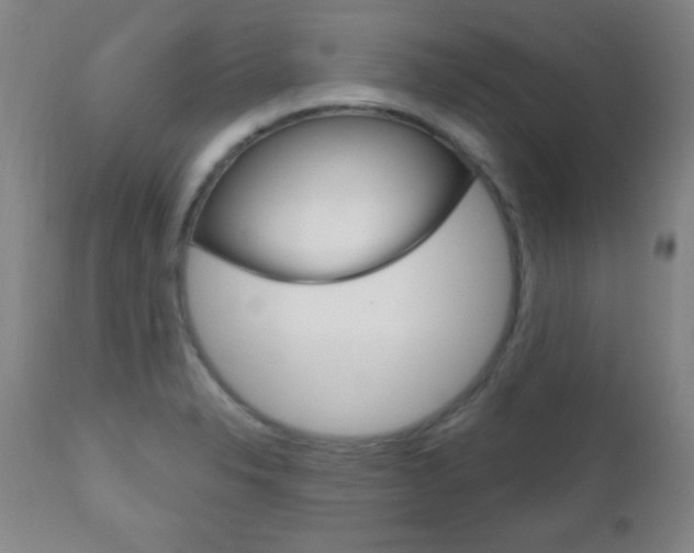 X0000110941326200906191041