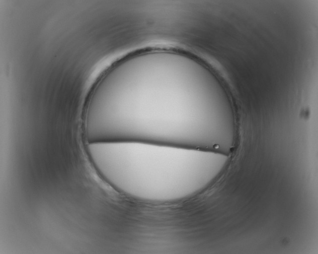 X0000110941327200906191041