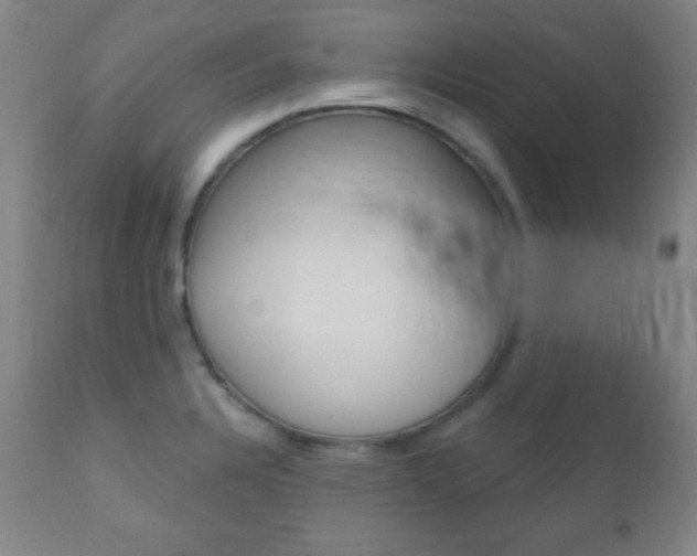 X0000110941328200906191041