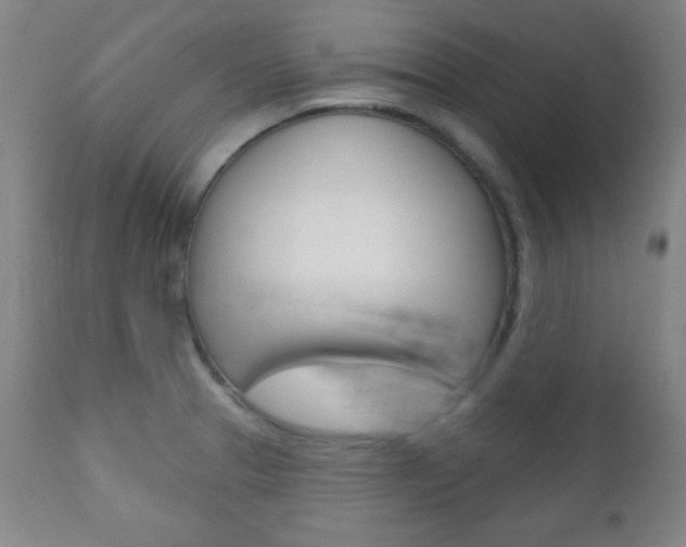 X0000110941329200906191041