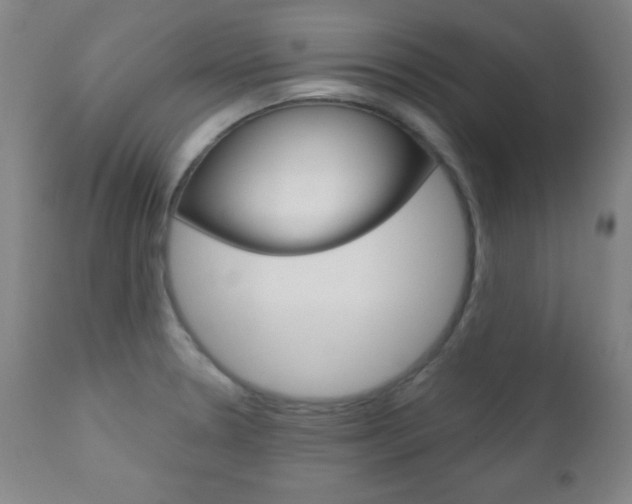 X0000110941330200906191041
